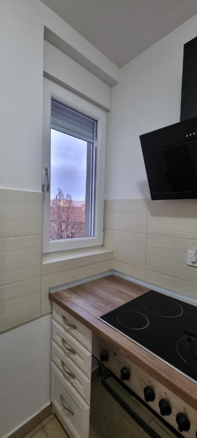 Grove II Apartment = Strict City Centre Novi Sad Bagian luar foto